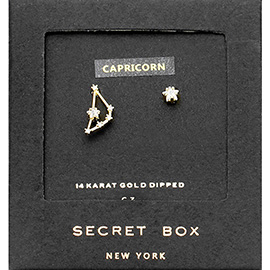 SECRET BOX_14K Gold Dipped CZ Zodiac Sign Capricorn Stud Earrings