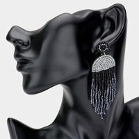 Seed Beaded Fringe Dangle Earrings