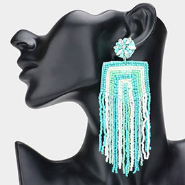 Beaded Tassel Fringe Dangle Earrings