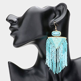 Seed Beaded Fringe Dangle Earrings