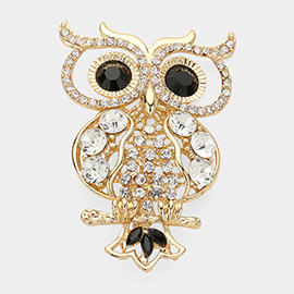 Stone Embellished Owl Pin Brooch